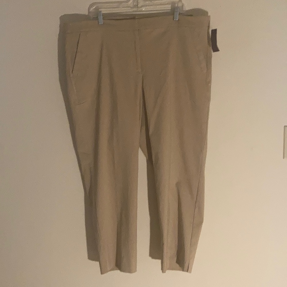 Lane Bryant khakis